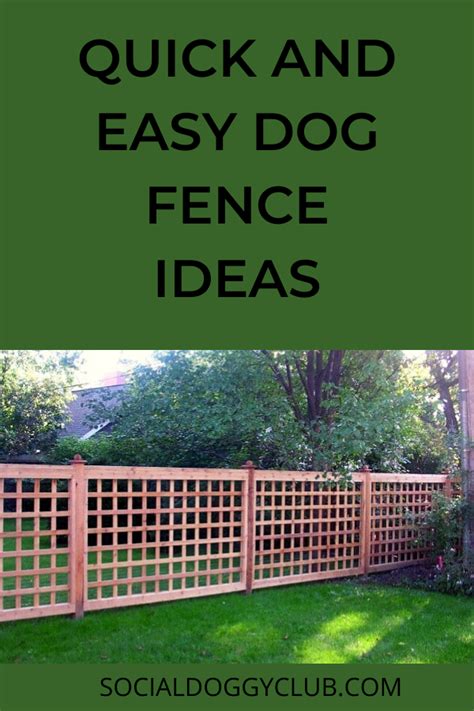 Here You Are Going To Find Some Of The Quickest And Easy Dog Backyard