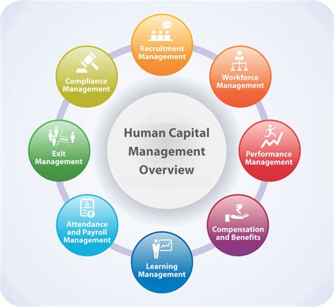 What Is Human Capital Management India Dictionary