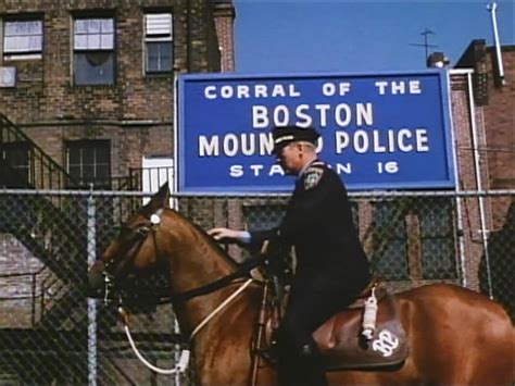 The Tattooed Police Horse 1964 Turner Classic Movies