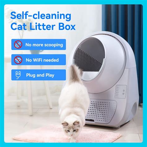 5 Best Automatic Litter Box For Maine Coon Cats