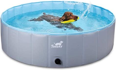 Puppy Pools Are Fun For Puppies And Kids Boing Boing