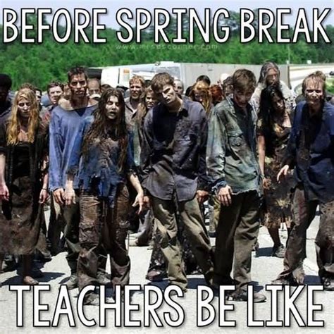 Amusing Teacher Spring Break Meme Joke Quotesbae