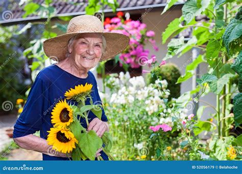 Smiling Old Woman Holding Sunflowers At The Garden Stock Image Image