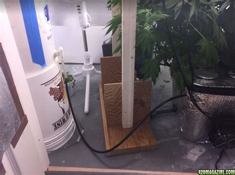To set up co2 injection correctly, it is very costly. My Super Stealthy Basement Grow Room
