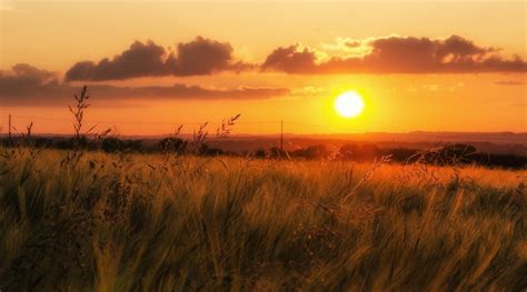 Wallpaper Grass Sunset Field Sky Hd Widescreen High Definition