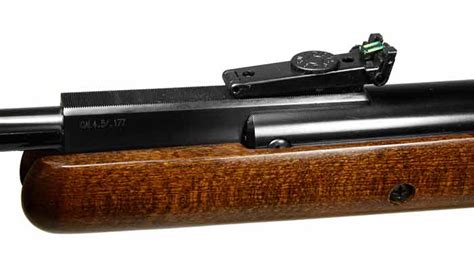 The Only Air Rifle You May Ever Need—the Rws 34 22 • Huntinggearlab