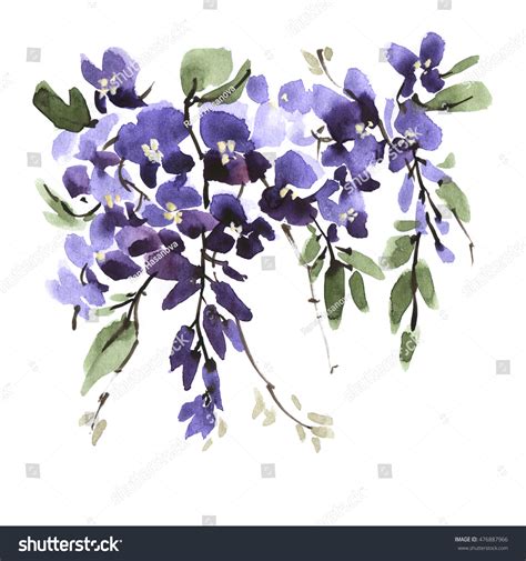 Watercolor Wisteria Flower Leaf Branch Isolated Stock Illustration