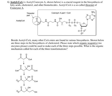 Solved Acetyl Coenzym A Shown Below Is A Crucial Reagent Chegg Com