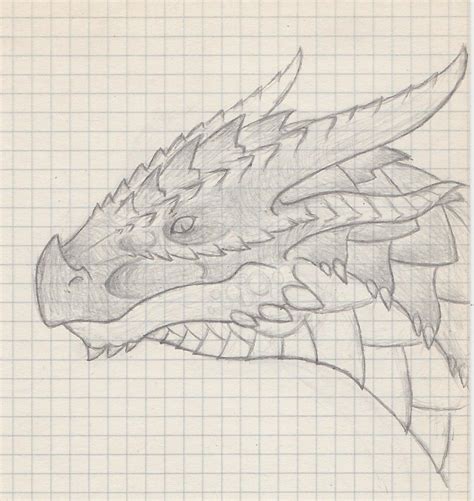 Dragon Head Sketch 2 By User96 On Deviantart