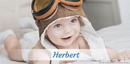 Herbert » Name mit Bedeutung, Herkunft, Beliebtheit & mehr