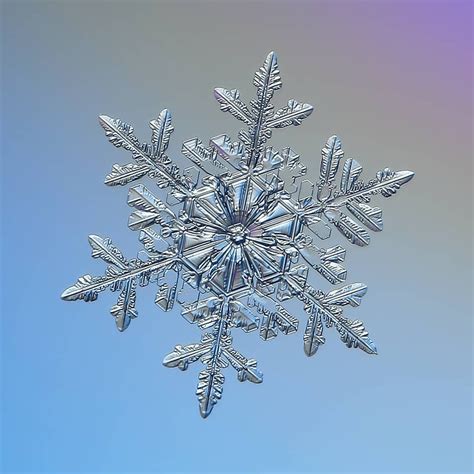 Pin On Snowflakes
