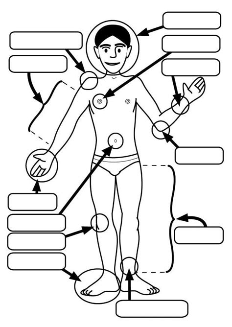 Dibujo Para Colorear Partes Del Cuerpo Dibujos Para Imprimir Gratis