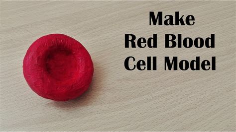 How To Make Red Blood Cell Model 3d Thermocolstyrofoam Carving Youtube