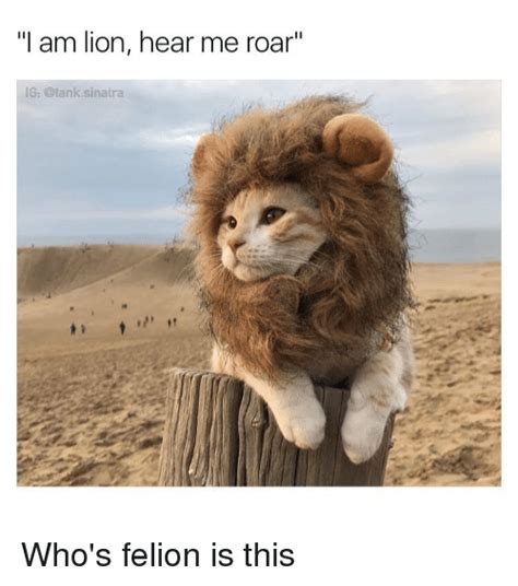 I Am Lion Hear Me Roar Ig Sinatra Whos Felion Is This Funny Meme On