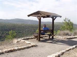 האם שיזוף במיטות שיזוף יכול ליצור שלפוחיות או עור אדום וכואב כמו לאחר שריפה מהשמש? גלריה בטבע ביער נווה אילן