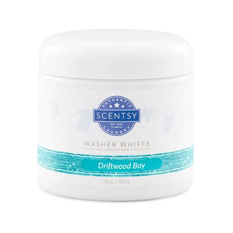 Shop Scentsy Clearance & Closeout Products | Scentsy Clearance | Scentsy, Affordable essential ...