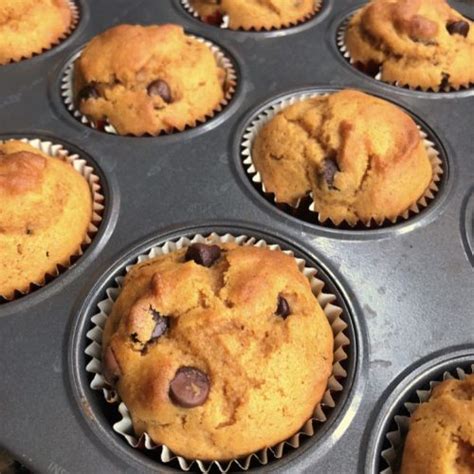 3 Ingredient Chocolate Chip Pumpkin Muffins Instrupix