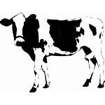 Cow Svg Icon Onlinewebfonts