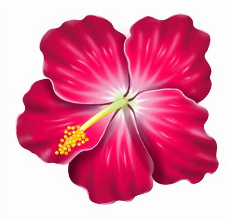Pink Hibiscus Clip Art Clipart A Yellow Hawaiian