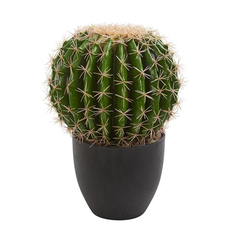 Earthflora Artificial Cactussucculents 14 Tall 10 Wide