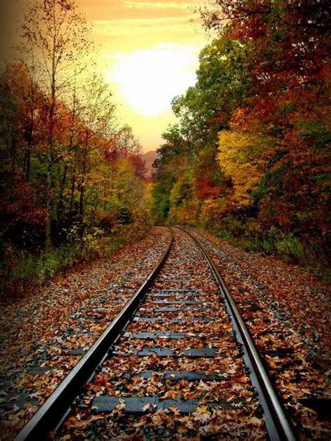 L J Lambert Photography Autumn Scenery Train Tracks Photography