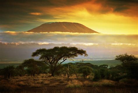 Climb Kilimanjaro Epic Trek Up Africas Highest Mountain