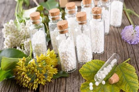 Homeopathic Remedies Vs Medicine Understanding The Difference Treat