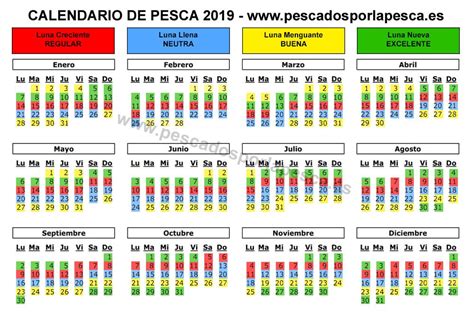 Como Planificar Tu Jornada De Pesca Pesca Información