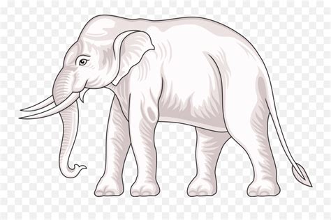 Filewhite Elephant Of Thailandsvg Wikimedia Commons White Elephant