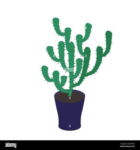 Cactus In House Pot Vector Illustration Stock Vector Image And Art Alamy