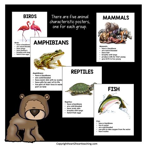 Animal Classification Unit With Mammals Birds Fish Reptiles And Am
