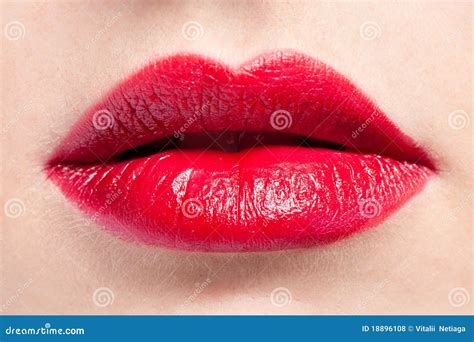 lips closeup kamasutra porn videos