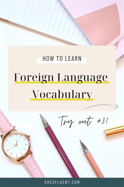 How To Learn Foreign Language Vocabulary Shes Fluent