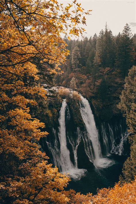 Fall Burney Falls Instagram ↟