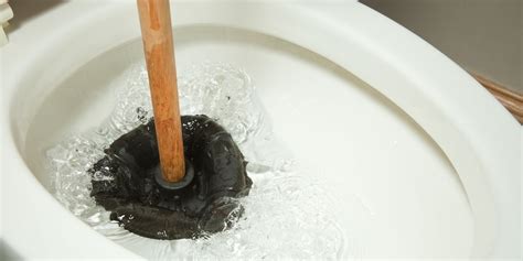 Check spelling or type a new query. How to Unclog a Toilet | Clogged Toilet
