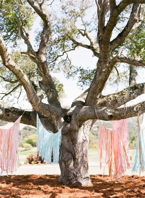 Coloured Fringing In Trees Tree Sitting In A Tree Wedding Wall