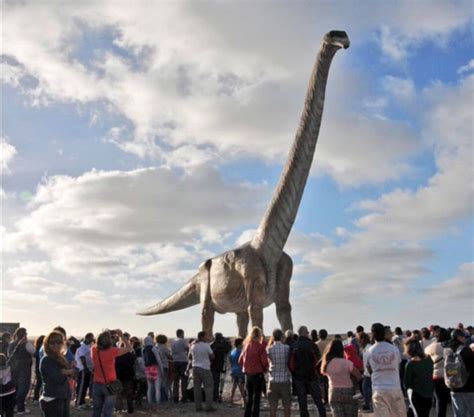 Ginormous 70 Ton Titanosaur Is The Largest Dinosaur On Record Live