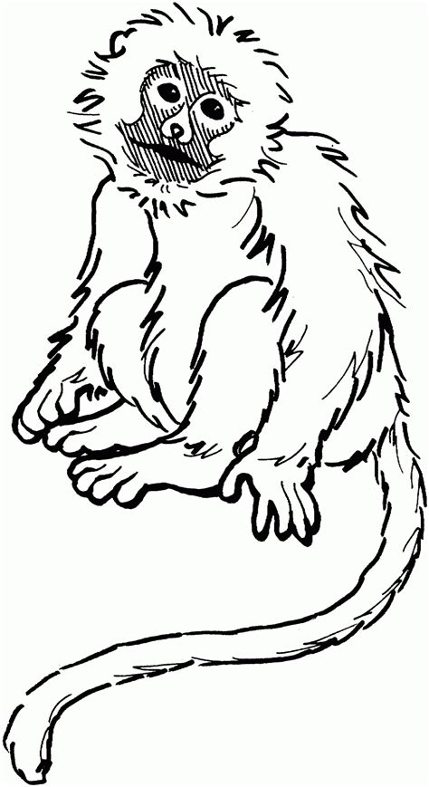 Hey there everyone , our newly posted coloringimage which your kids canhave fun with is monkey hanging on a tree coloring page, listed under monkeycategory. Squirrel Monkey coloring, Download Squirrel Monkey ...