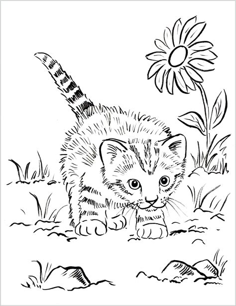 Coloring ~ Coloring Pages Kitten Print Kitty Cats Cat Cute