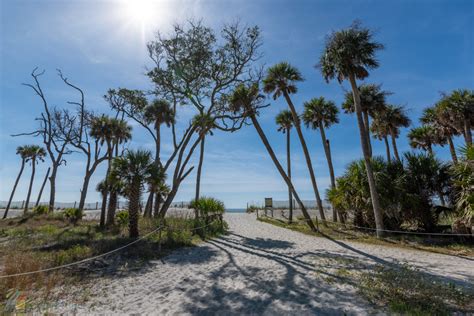 Hunting Island State Park Beaufort