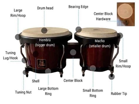 how to play the bongo drums beginner s guide [upd 2024]