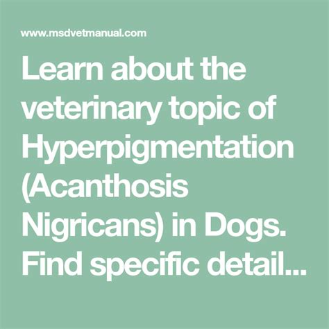 Learn About The Veterinary Topic Of Hyperpigmentation Acanthosis