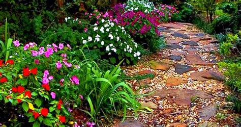 Colorful Garden Path W Variations Of Rocks And Plants Landscape