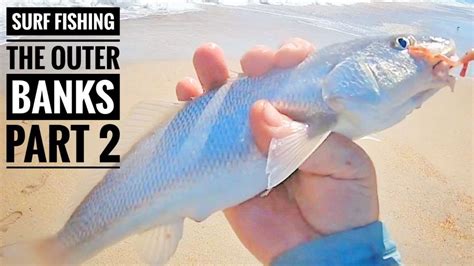 Surf Fishing The Outer Banks Part 2 Youtube