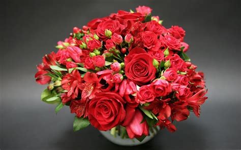 Download Wallpapers Red Roses Red Flower Rose Red Flowers For