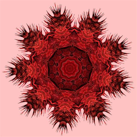 3d Mandala Iii Digital Art By Veselina Stoyanova Pixels