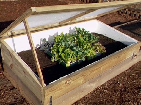 Venting A Cold Frame Automatically Laidback Gardener
