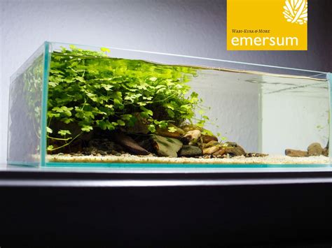 Emersumde 5l Wabi Kusa Tank Aquarium Terrarium Nano Aquarium