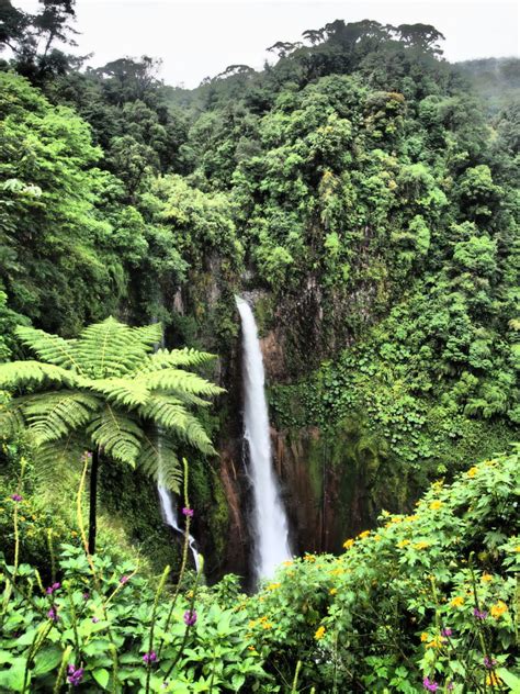 Catarata Del Toro A Stunning Waterfall To Chase In Costa Rica Tiny