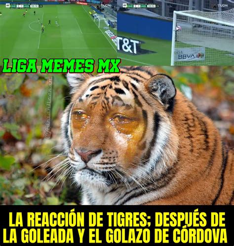 Memes Del Am Rica Tigres Jornada Liga Mx Chiquitines Goleados